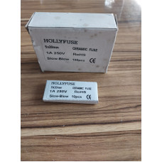 Hollyfuse 5x20mm 1A 250V Slow-Blow seramik sigorta